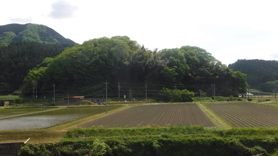 宗金陣