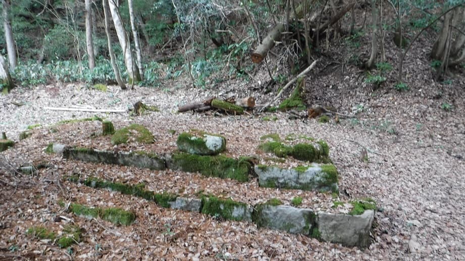 清国廃寺跡