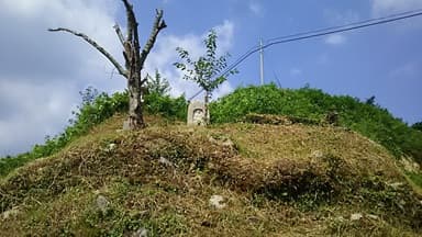 無坂お大師様